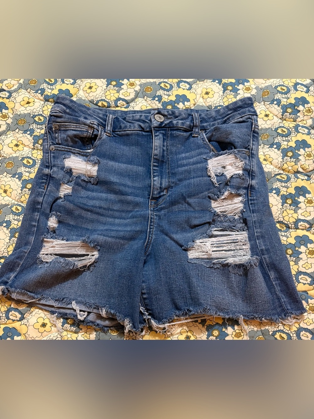 American Eagle Outfitters women’s size 16 curvy hi rise jean shorts